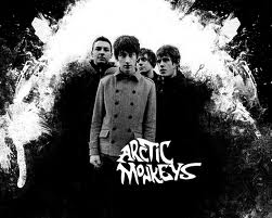 articmonkey's
